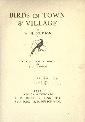 Birds in town & village