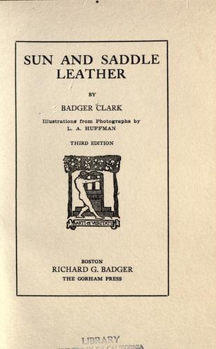 Sun and saddle leather