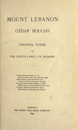 Mount Lebanon cedar boughs