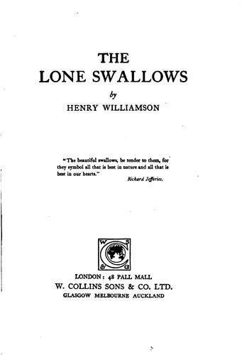 The lone swallows