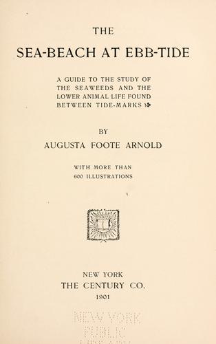 The sea-beach at ebb-tide