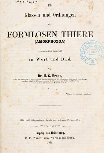 Die Klassen und Ordnungen des Thier-Reichs