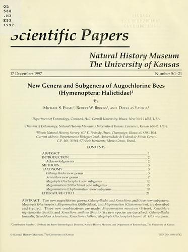 New genera and subgenera of augochlorine bees (Hymenoptera: Halictidae)