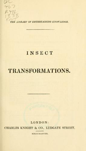 Insect transformations.