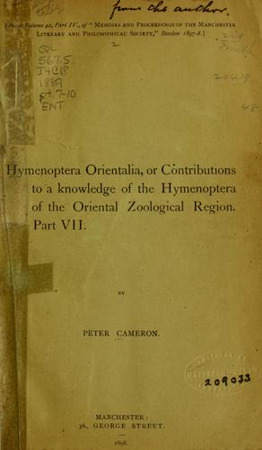 Hymenoptera Orientalis