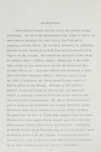 Sooty tern behavior.