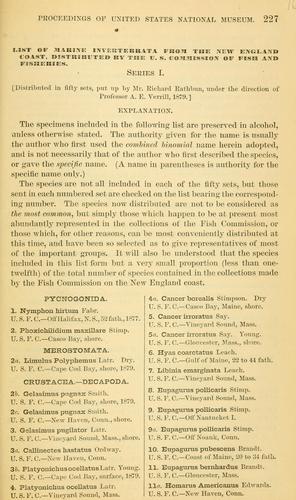 List of marine invertebrata from the New England Coast