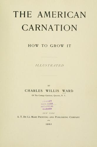The American carnation, how to grow it ...