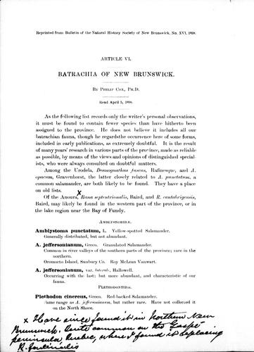 Batrachia of New Brunswick