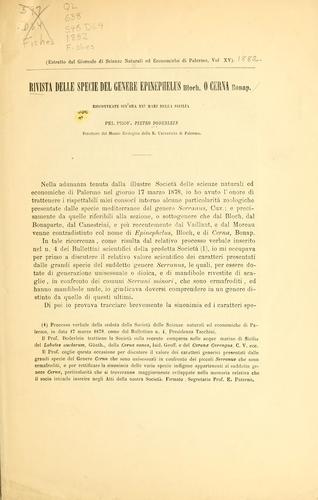 Rivista delle specie del genere Epinephelus O Cerna Bp.