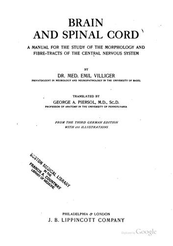 Brain and spinal cord