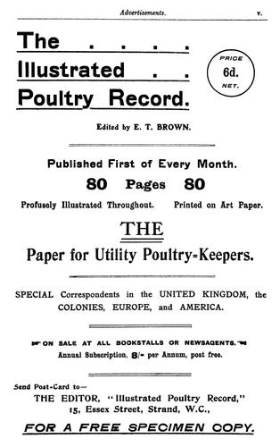 Report on the poultry industry in Belgium