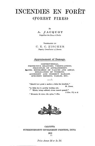 Incendies en forêt (Forest fires)