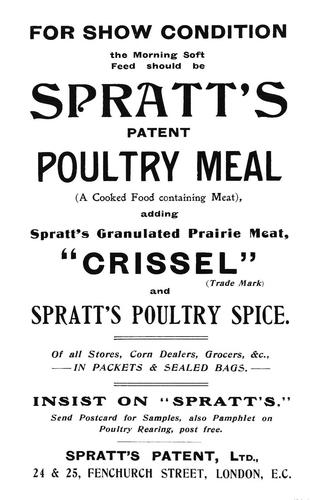 Poultry for prizes and profit