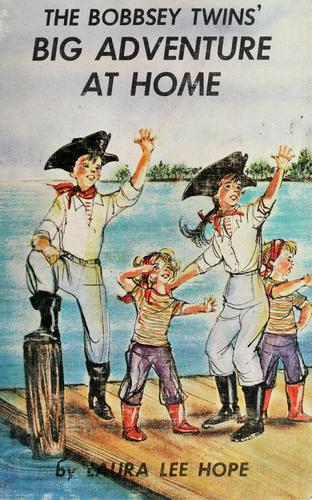 The Bobbsey twins' big adventure at home.