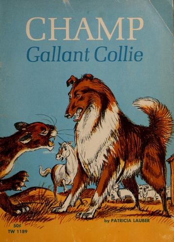 Champ, gallant collie