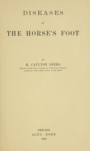 Diseases of the horse's foot