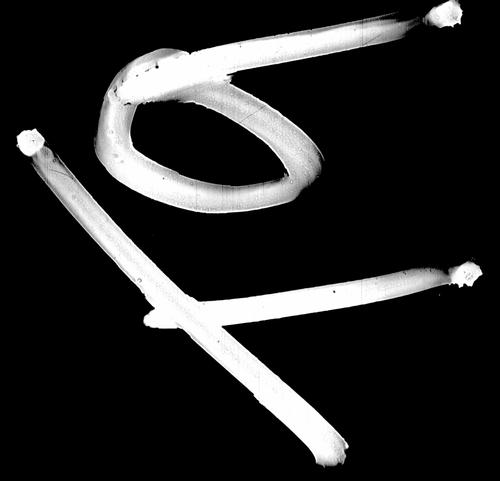 Population schedules of the tenth census of the United States, 1880, Pennsylvania