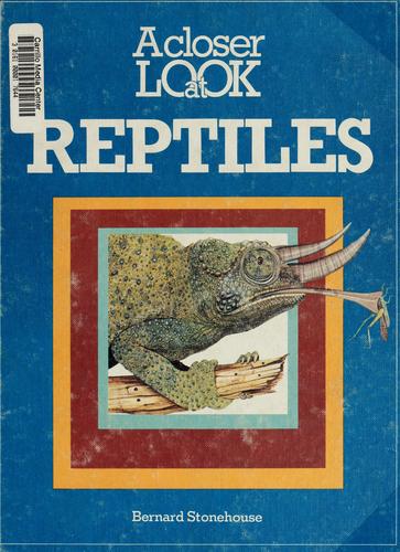 A closer look at reptiles