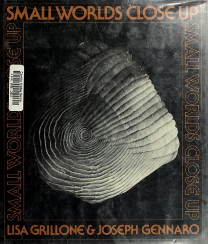 Small worlds close up