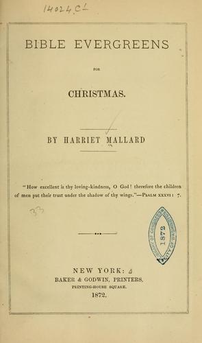 Bible evergreens for Christmas