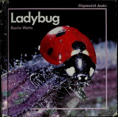 Ladybug