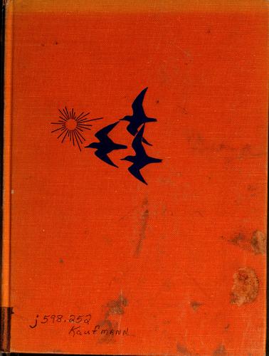 Wings, sun, and stars