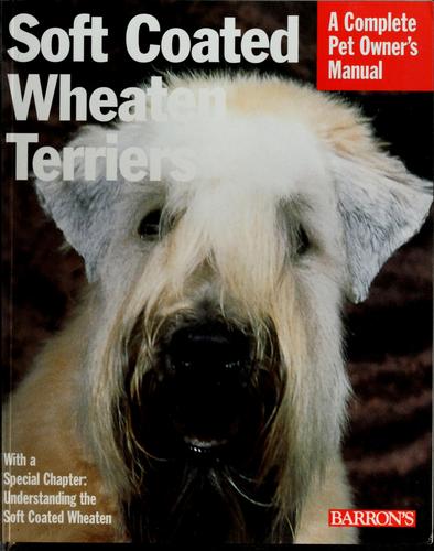 Soft coated wheaten terriers