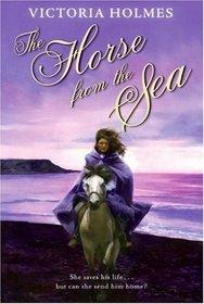 The Horse From The Sea