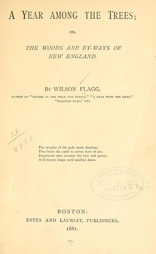 A year among the trees