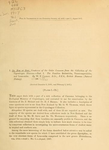 On new or rare crustacea of the order Cumacea