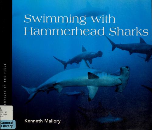 Swimming with hammerhead sharks