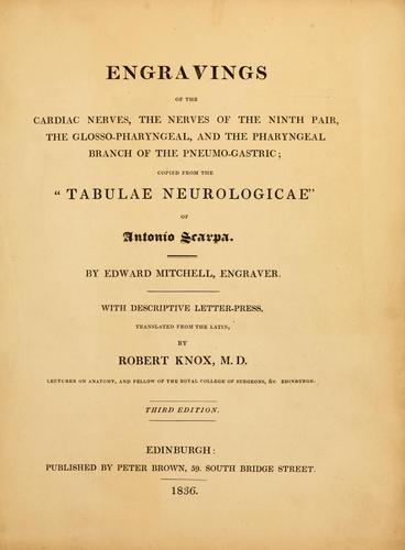 Engravings of the cardiac nerves, the nerves of the ninth pair, the glosso-pharyngeal, and the pharyngeal branch of the pneomo-gastric