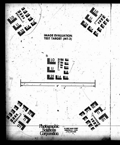 Britain and greater Britain in the nineteenth century