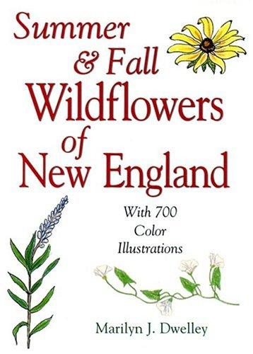 Summer & Fall Wildflowers of New England