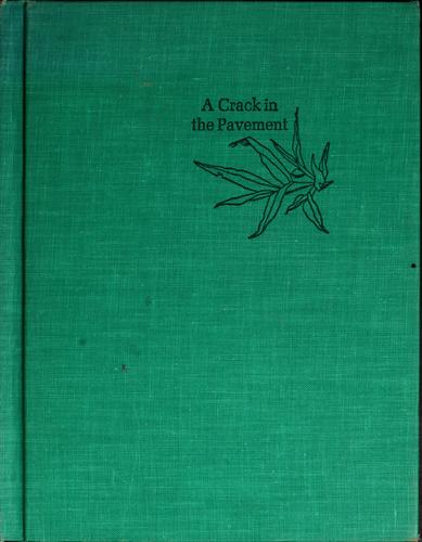 A crack in the pavement.