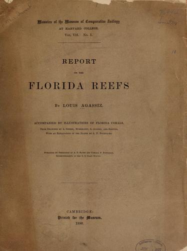 Report on the Florida reefs