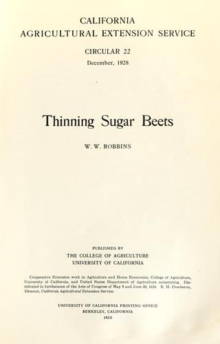 Thinning sugar beets