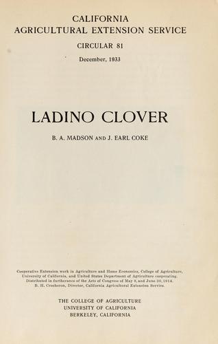 Ladino clover