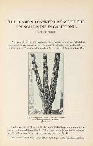 The diamond canker disease of the French prune in California