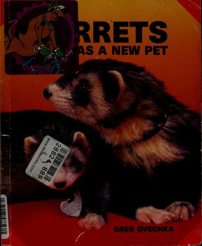 Ferrets as a new pet
