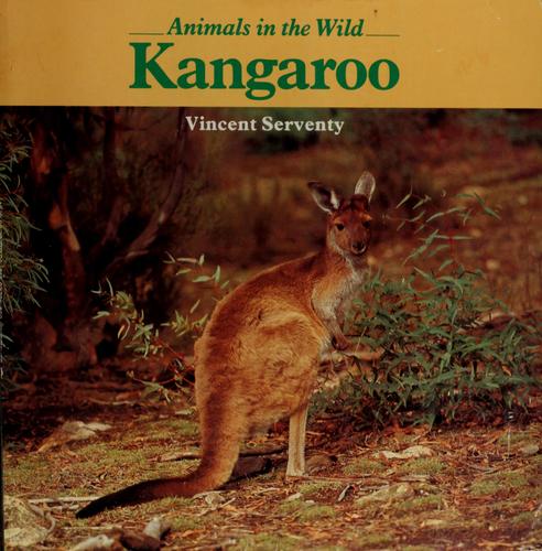 Kangaroo