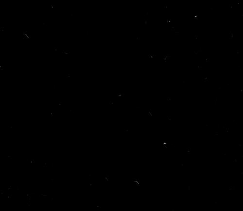 Les florentins a Lyon