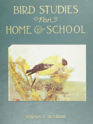 Bird studies for home and school