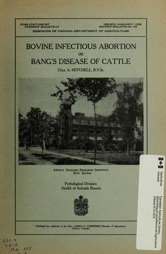 Bovine infectious abortion