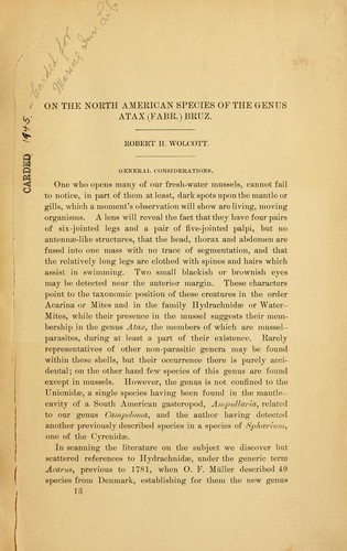 On the North American species of the genus Atax (Fabr.) Bruz