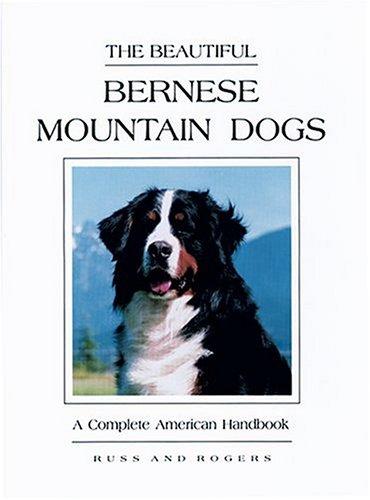 The beautiful Bernese mountain dogs