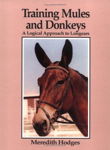 Training mules and donkeys