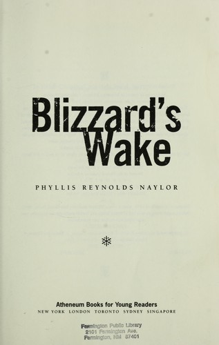 Blizzard's wake