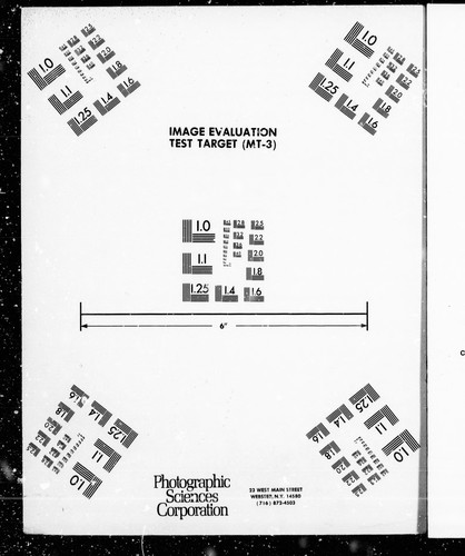 The true Briton of the nineteenth century